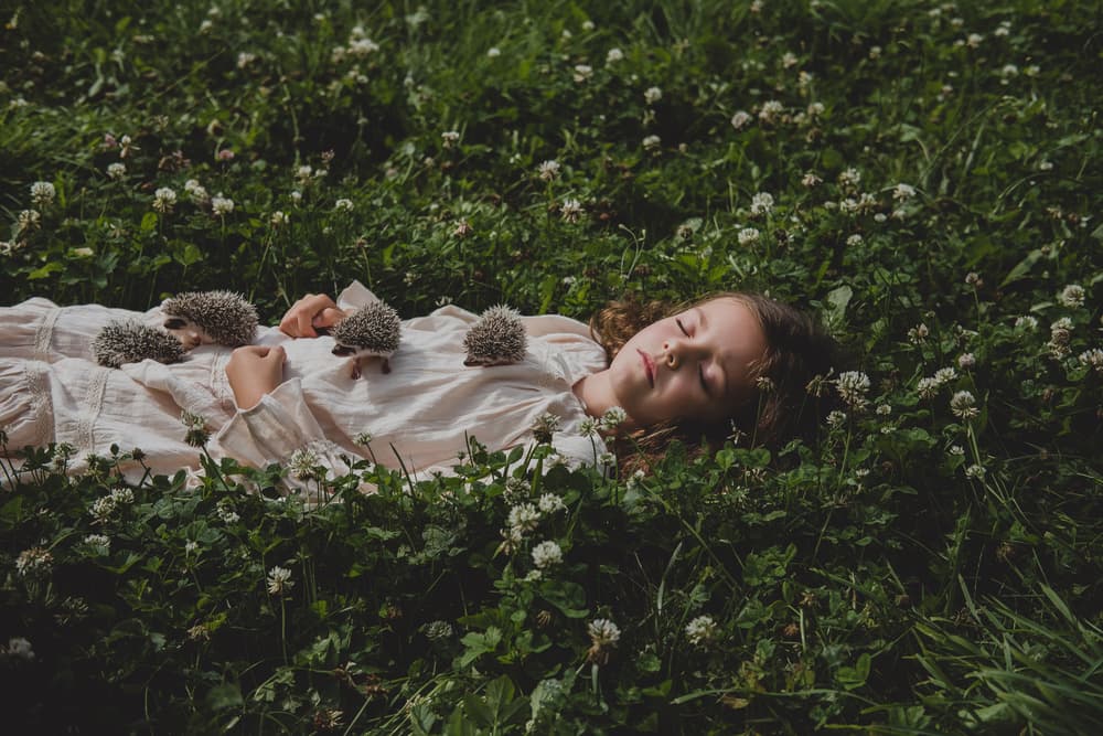 Sleeping Girl and Hedgehogs by Olga Barantseva — canvas wall art