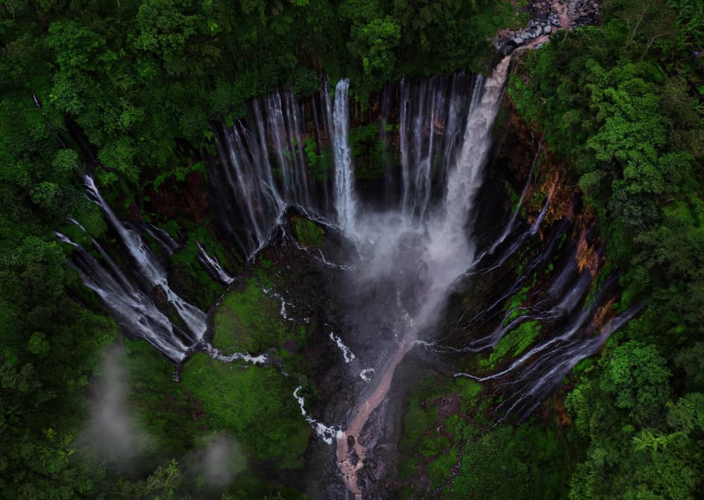 Majestic Jungle Waterfall by Phil Green — canvas wall art
