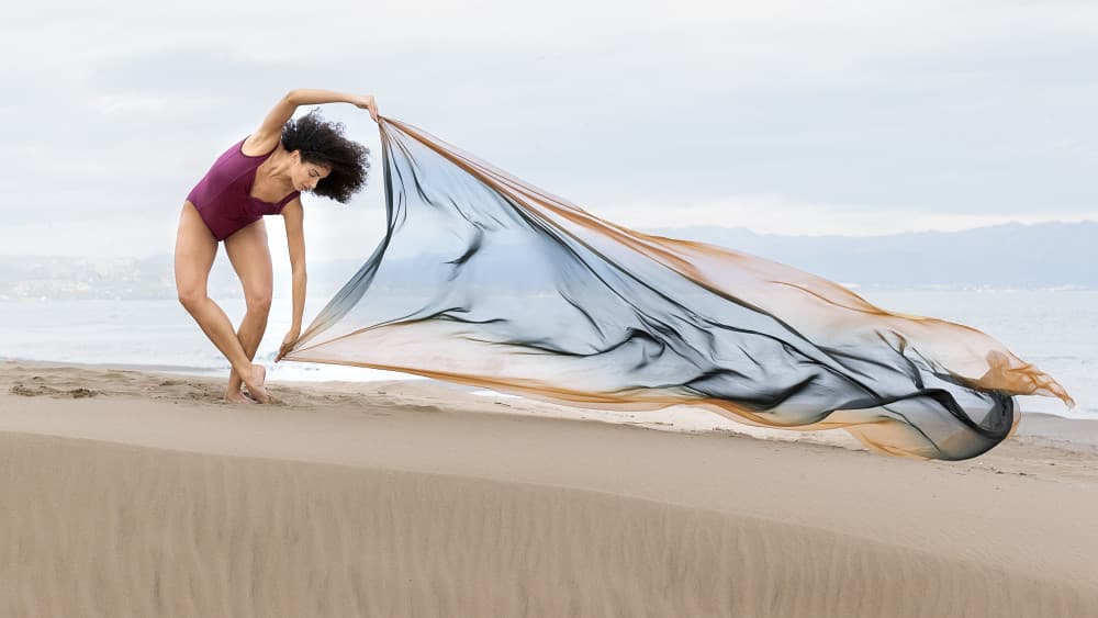 Graceful Beach Dance by Joan Gil Raga — canvas wall art