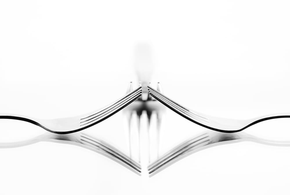 Symmetrical Fork Reflections by Greetje van Son — canvas wall art