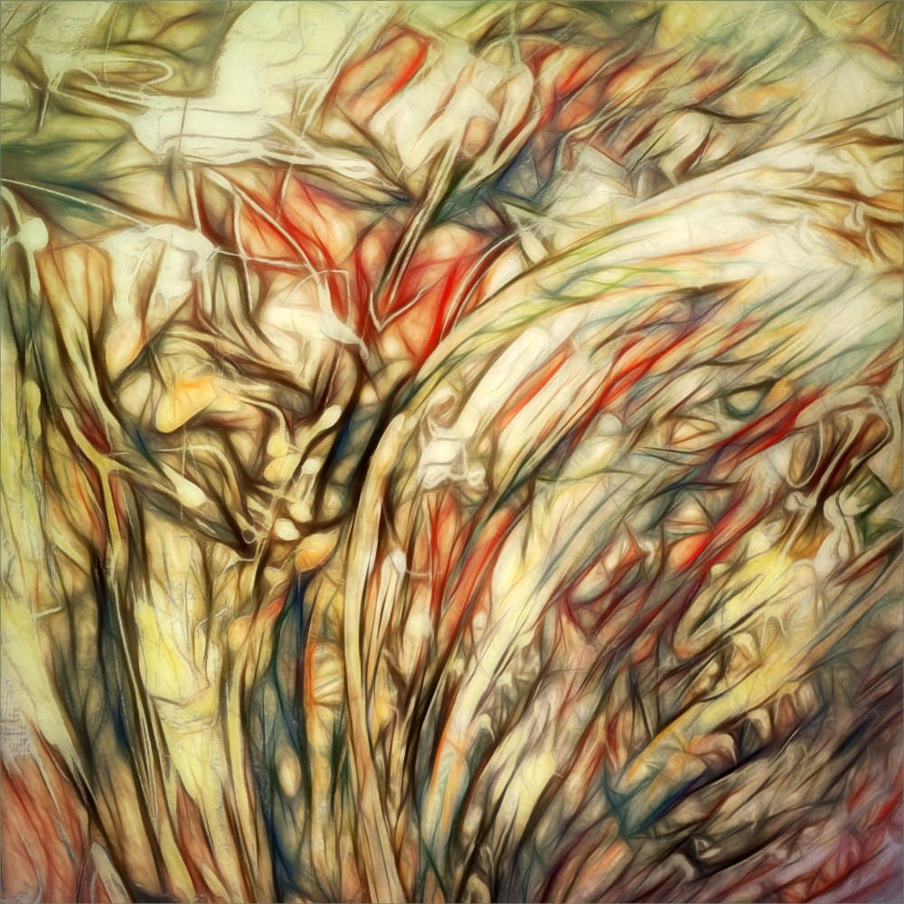 Vibrant Abstract Lines by Gilbert Claes — canvas wall art