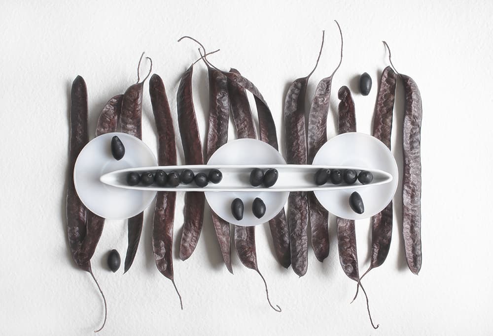Dark Seed Pod Arrangement by Dimitar Lazarov - Dim — canvas wall art