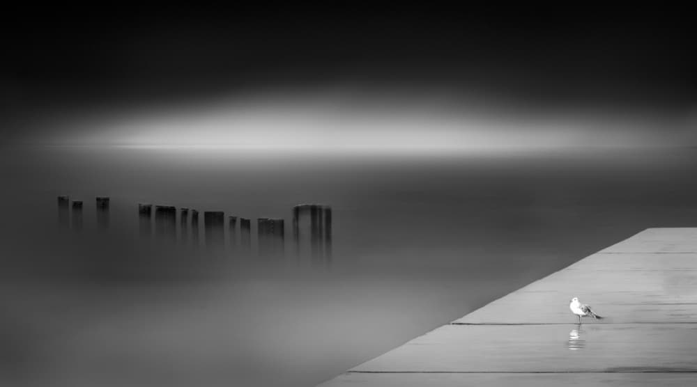 Misty Pier Seagull by Yanny Liu — canvas wall art