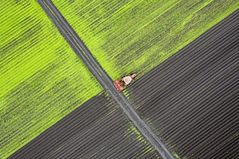 Diagonal Farm Field View by Alexander Bondarenko — canvas wall art