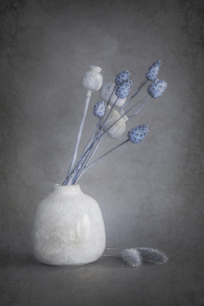 Serene Dried Flowers by Cicek Kiral — canvas wall art
