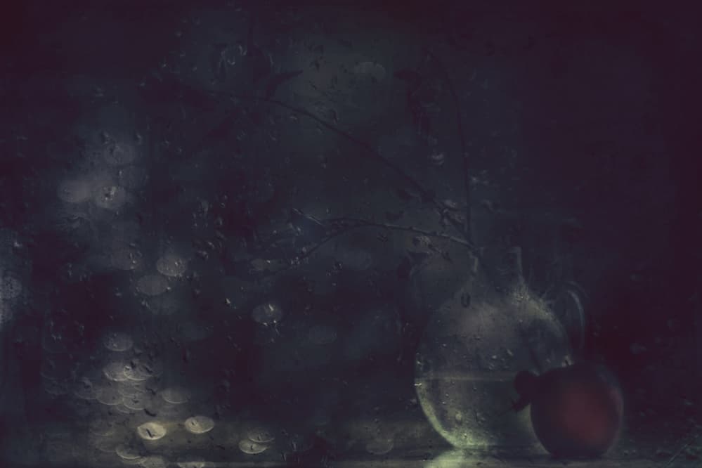Rainy Window Still Life by Delphine Devos — canvas wall art