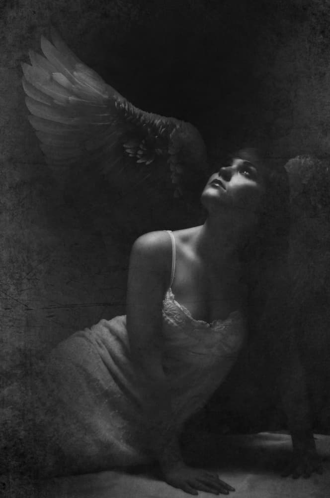 Angel Wing Vision by Peeters Jos — canvas wall art