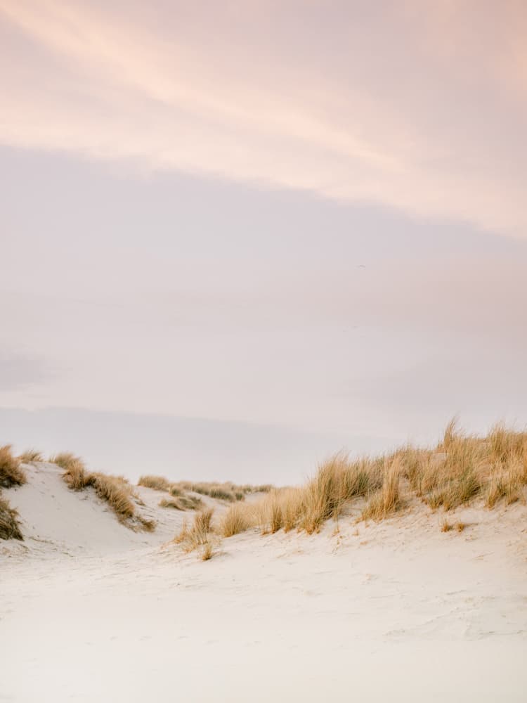 Ameland Dunes 3 by Raisa Zwart — canvas wall art
