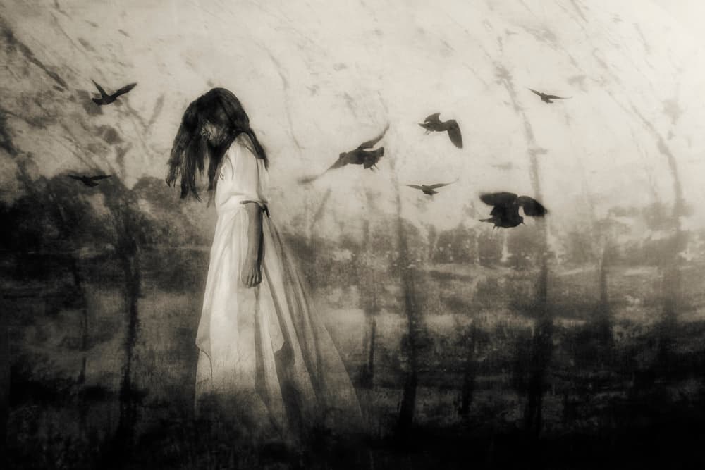 Haunting Forest Spirit by Charlaine Gerber — canvas wall art