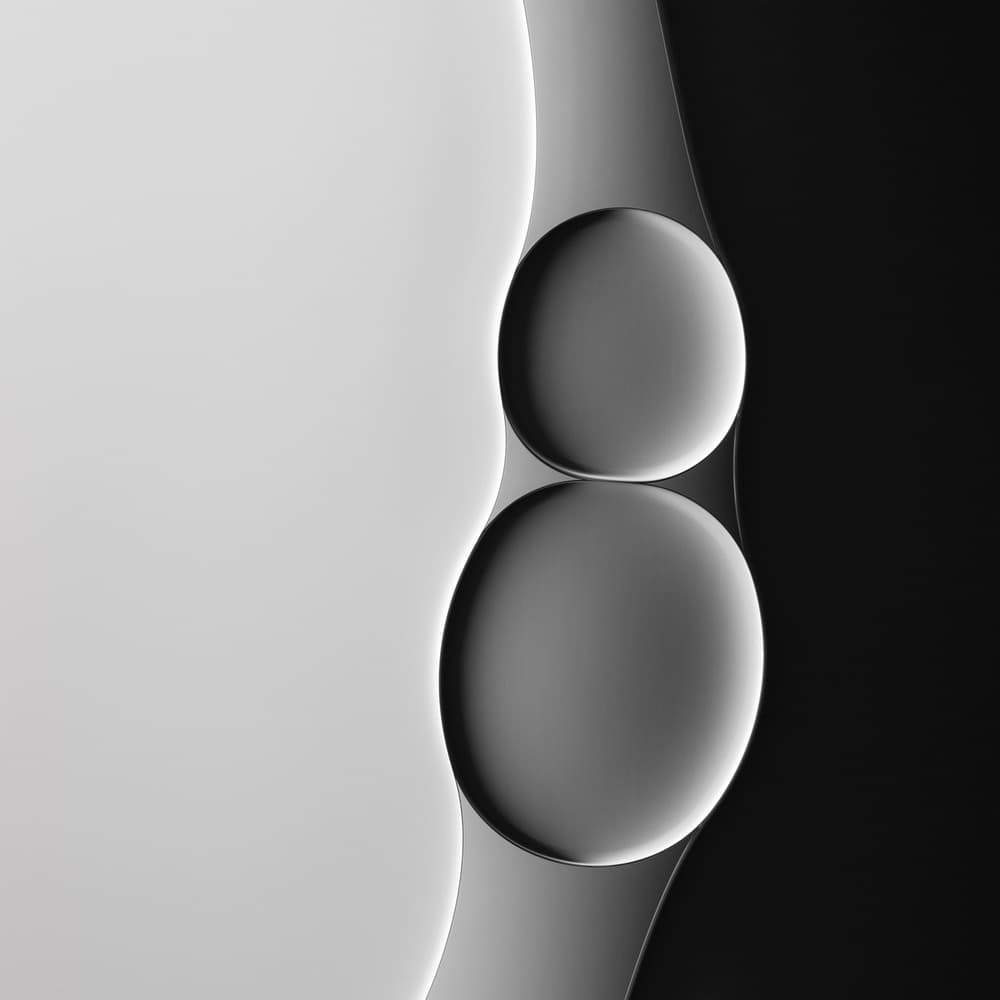 Monochrome Flowing Forms by Jacqueline Hammer — canvas wall art