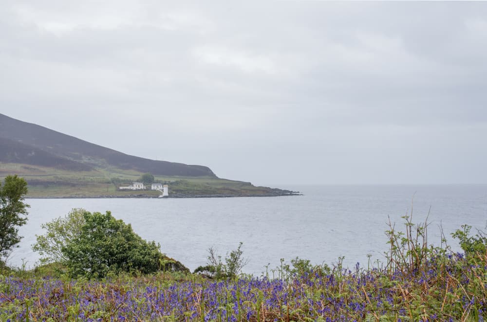 Wildflowers Coastal View by Lynann Colligan — canvas wall art
