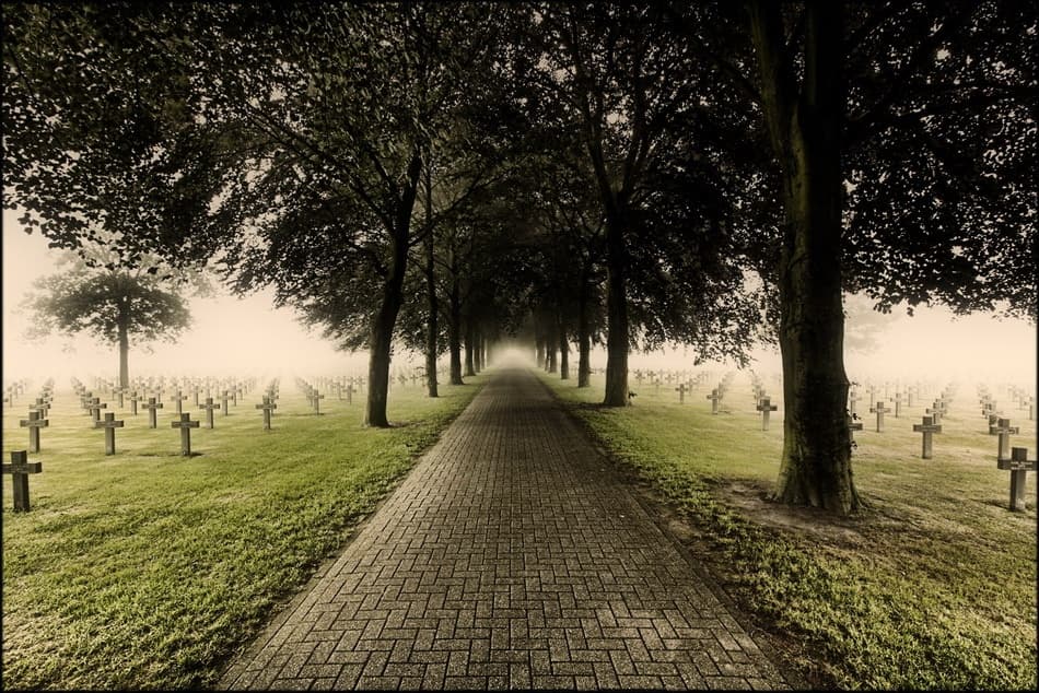 Misty Cemetery Pathway by Paul Boomsma — canvas wall art