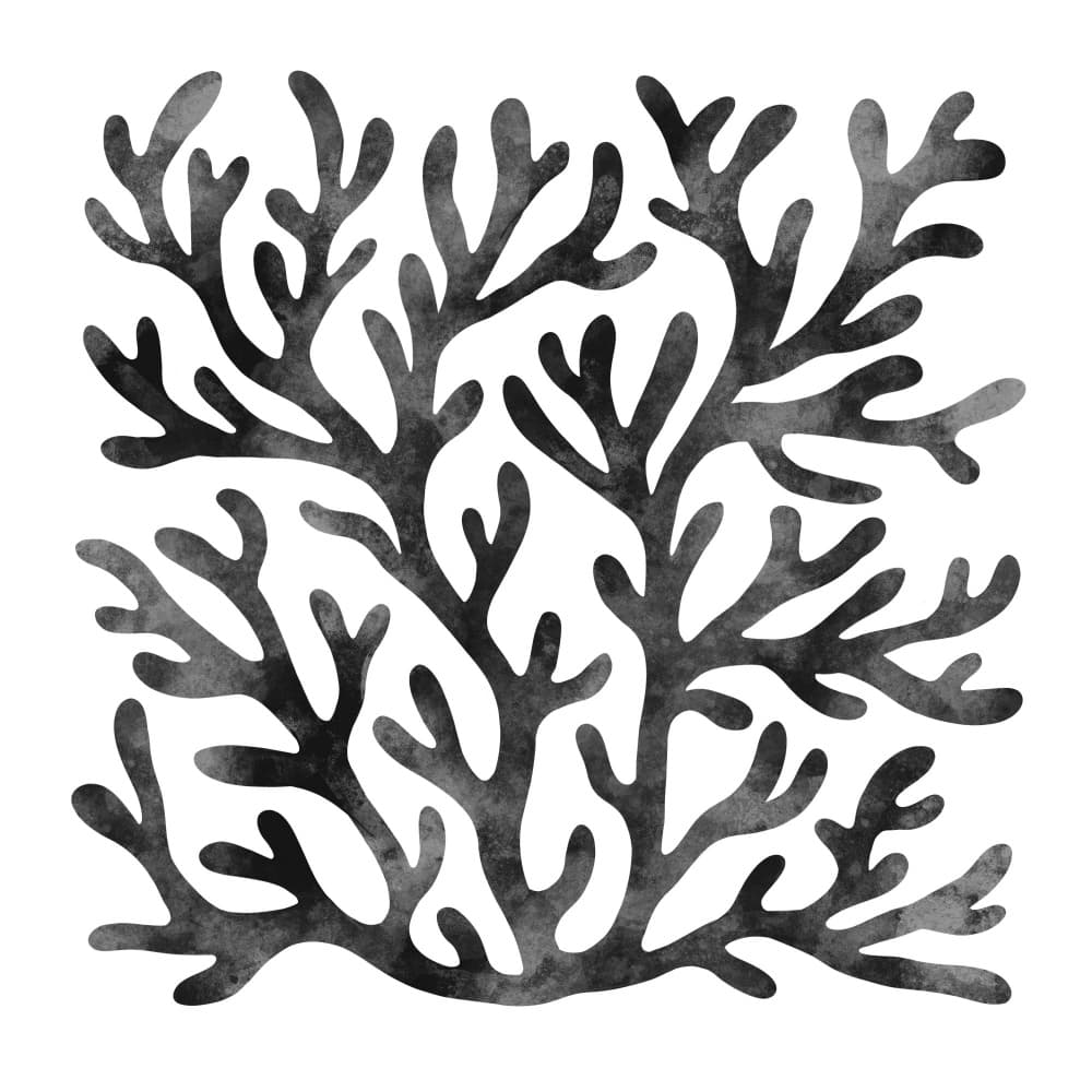 Organic Coral Branches by EMELIEmaria — canvas wall art
