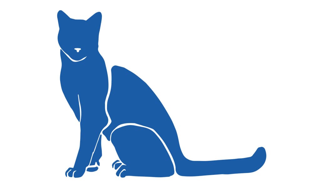 Elegant Blue Cat by EC Mazur — canvas wall art