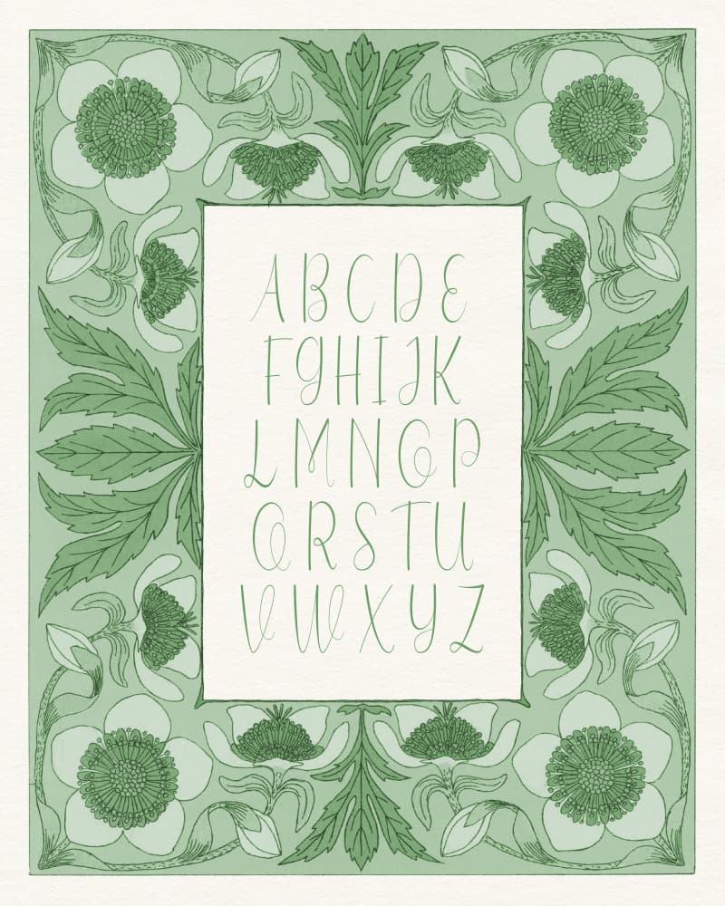 Botanical Alphabet Script by Wild Violets — canvas wall art
