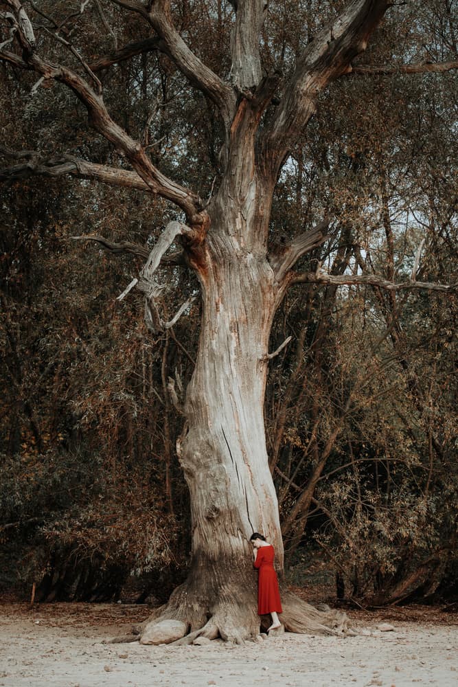 Solitary Woman Ancient Tree by Dorota Gorecka — canvas wall art