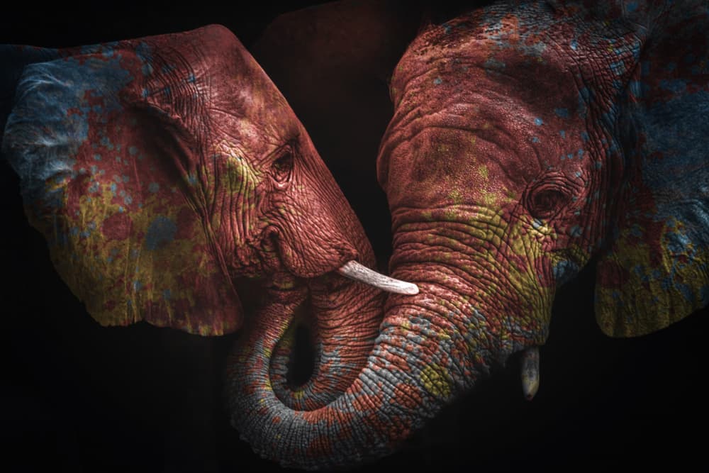 Colorful Elephant Embrace by Farid Kazamil — canvas wall art