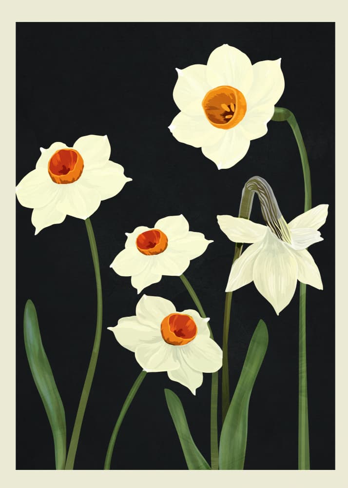 Elegant White Daffodils by Nadjaa — canvas wall art