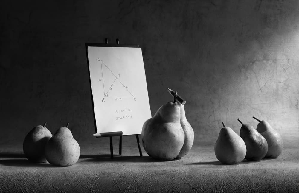 Pears Geometry Lesson by Victoria Glinka — canvas wall art