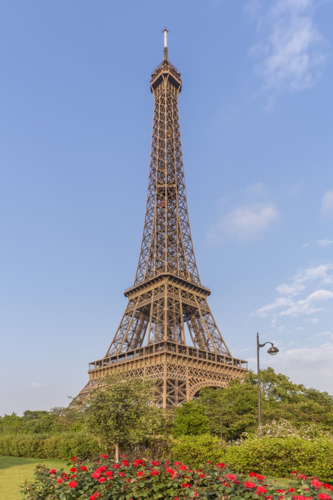 Eiffel Tower and Roses by Melanie Viola — canvas wall art