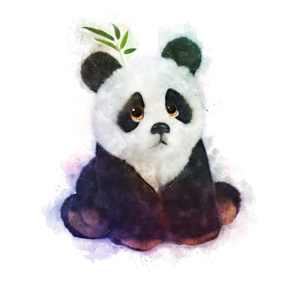 Pensive Panda by Emel Tunaboylu — canvas wall art