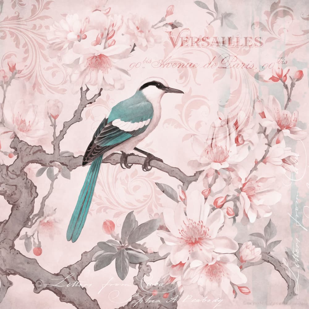 Bird on Cherry Blossoms by Andrea Haase — canvas wall art