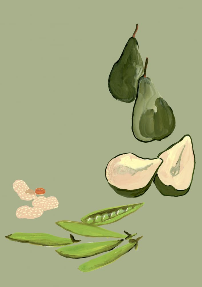 Pears peas peanuts (green) by Rosana Laiz Blursbyai — canvas wall art