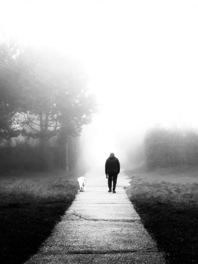 Misty Morning Dog Walk by Jasmine Zhang — canvas wall art