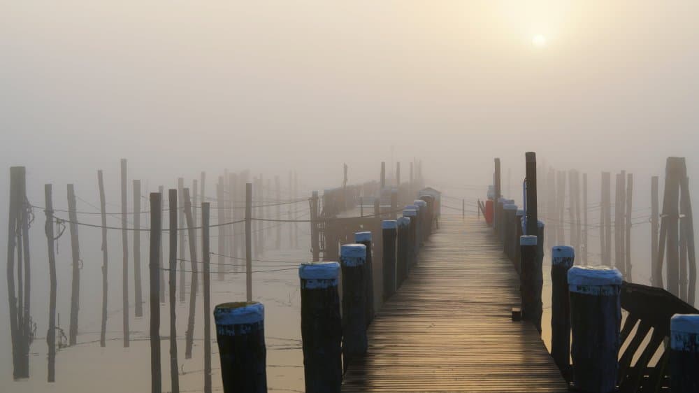 Misty Morning Pier by Bodo Balzer — canvas wall art