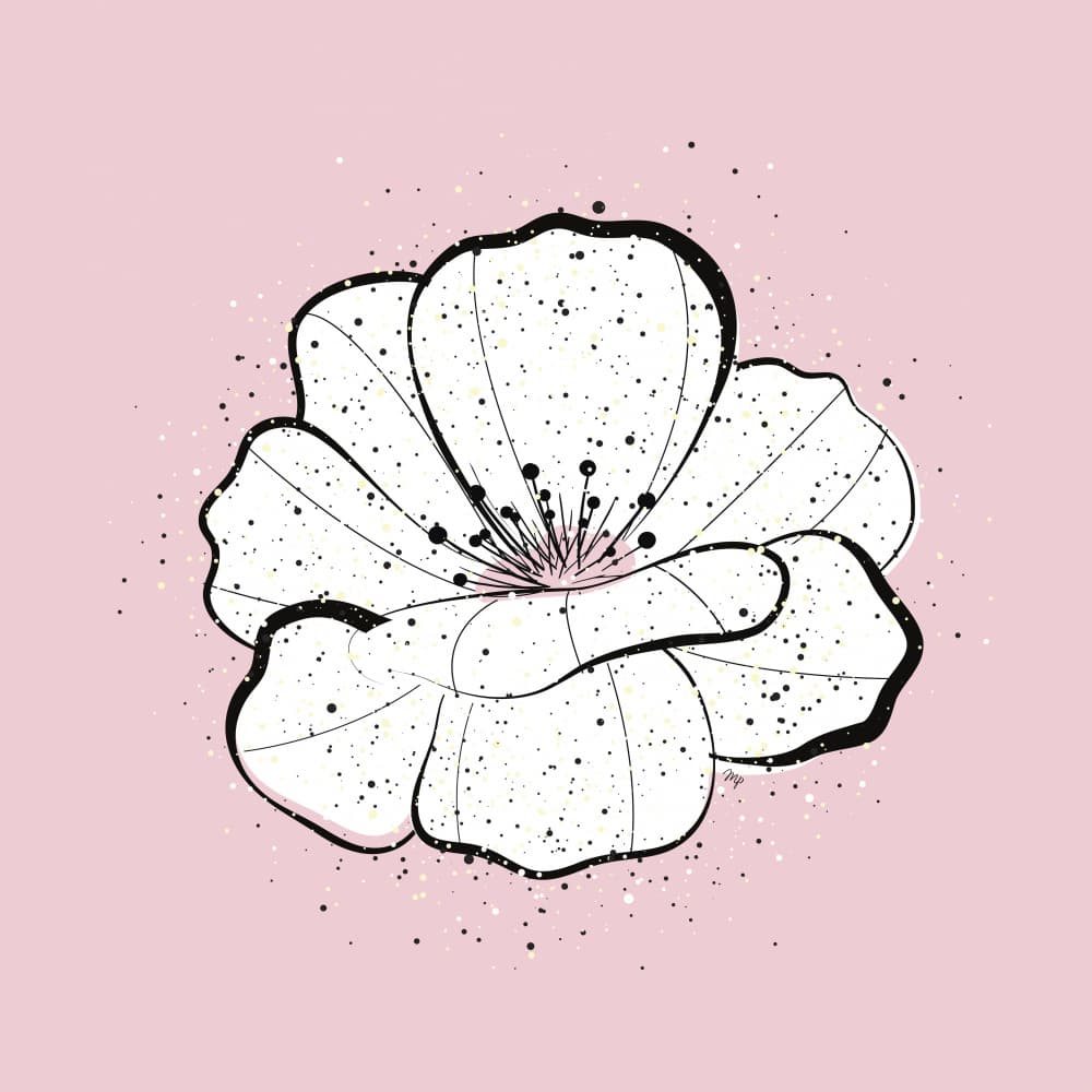 Delicate White Flower by Martina — canvas wall art