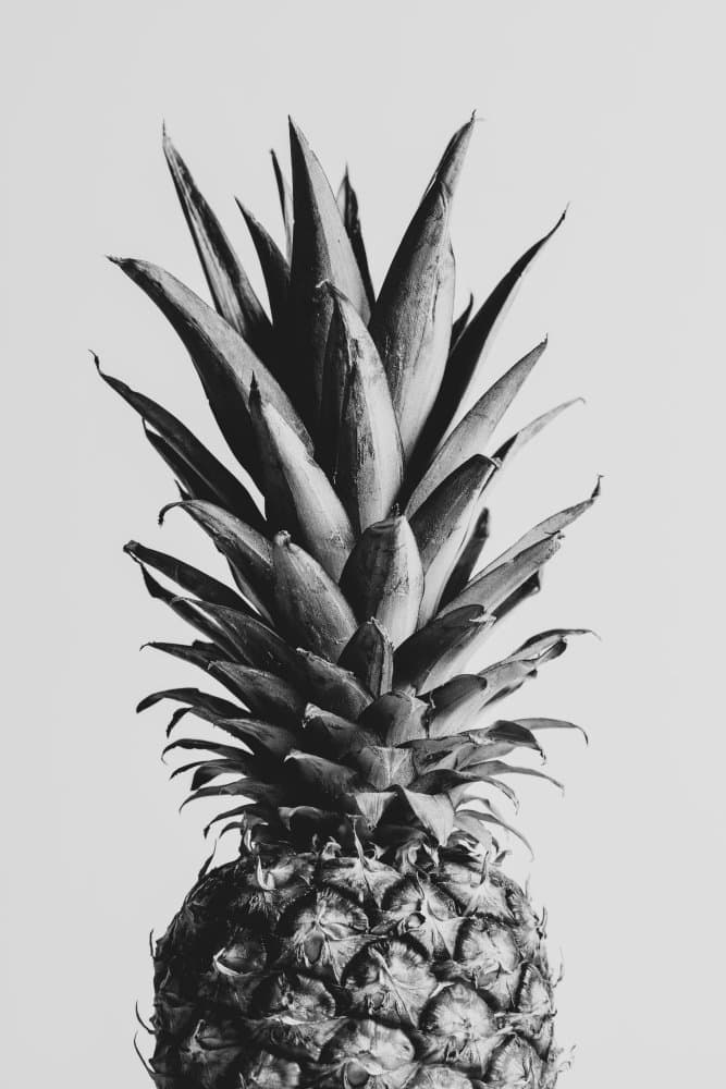 Black and White Pineapple by Pictufy Studio III — canvas wall art