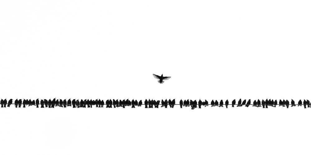 We warn you Icarus, not too close to the sun by Rob Blanken — canvas wall art