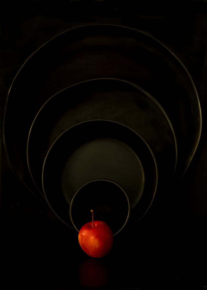 Red Apple Dark Circles by Wendy Xu — canvas wall art