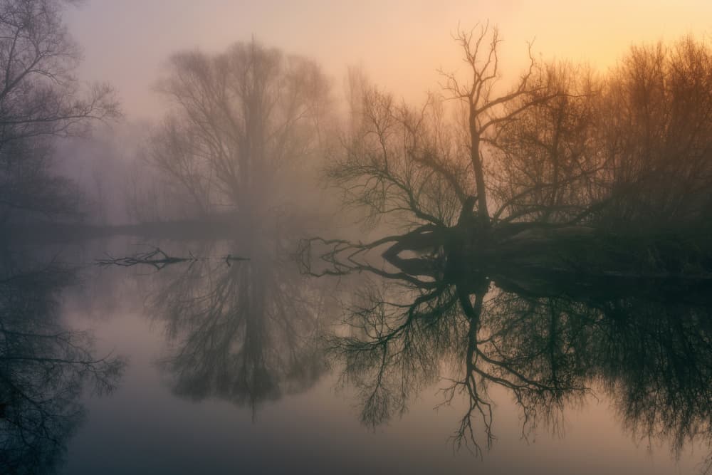 Misty River Reflections by Mariusz Guc — canvas wall art