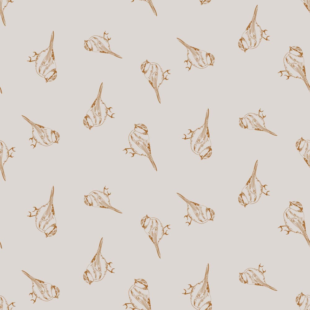 Sepia Bird Sketches by Charlotte Trudgett — canvas wall art