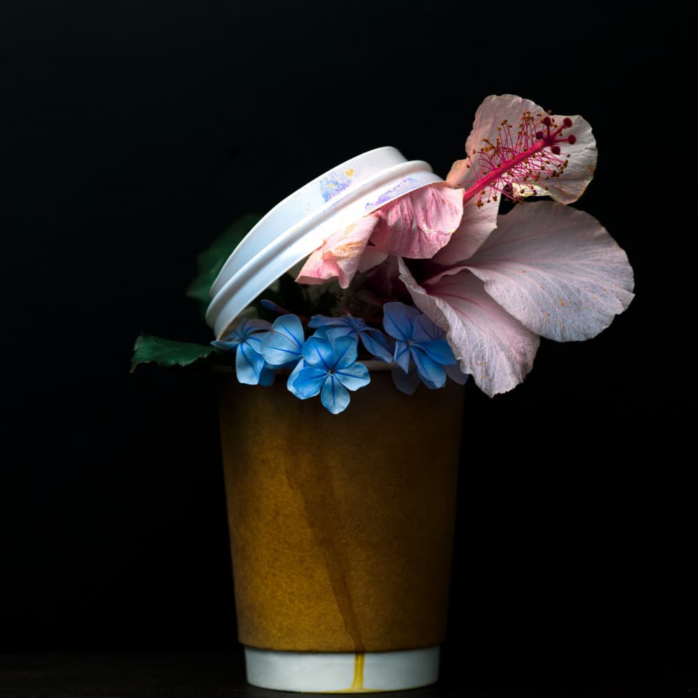 Fresh Coffee Cup Blooms by Thabiet Kamaldien — canvas wall art