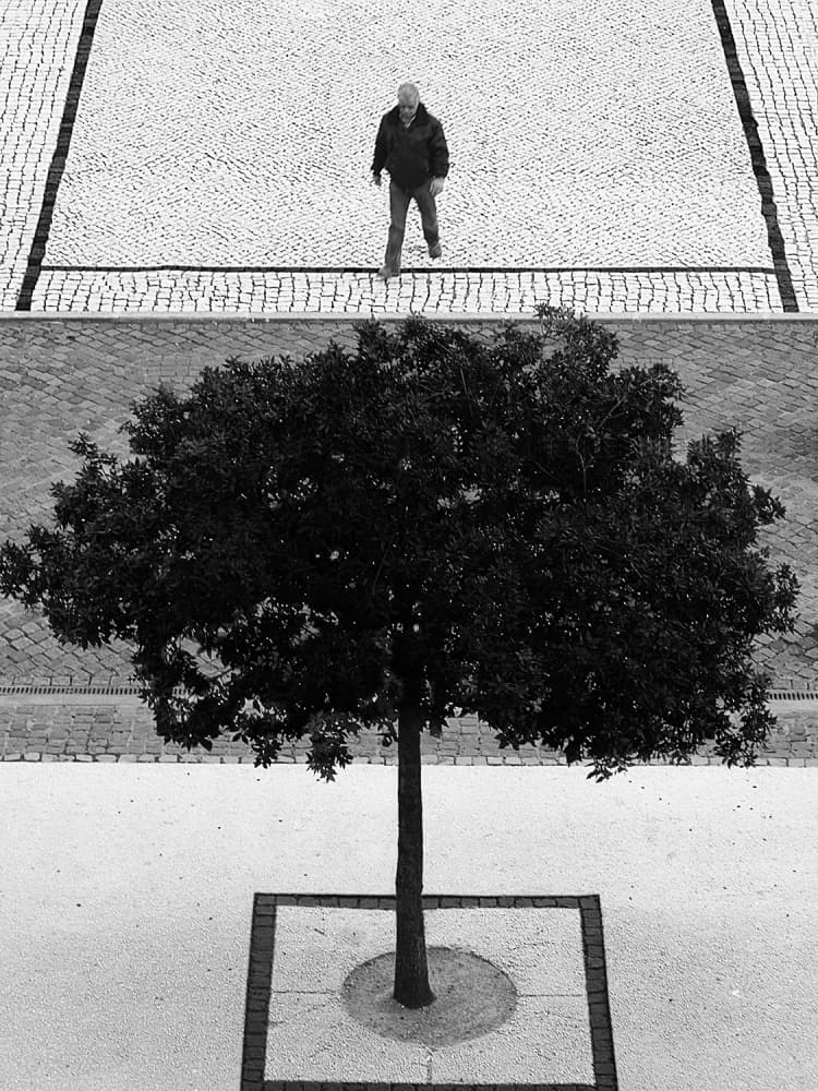 Solitary City Walk by Paulo Abrantes — canvas wall art