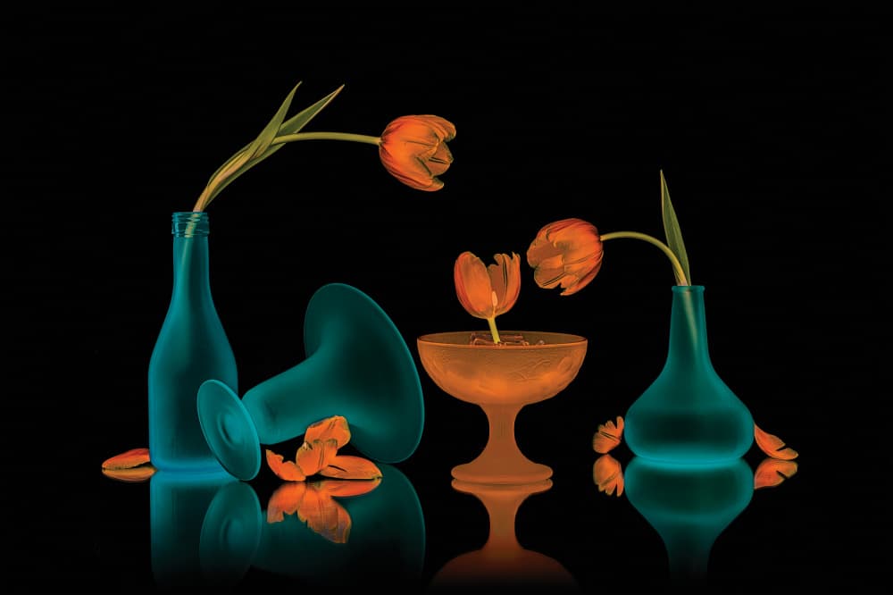 Orange Tulips Glow by Lydia Jacobs — canvas wall art