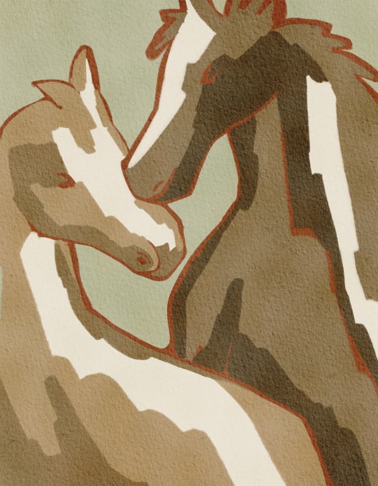 Horse Love