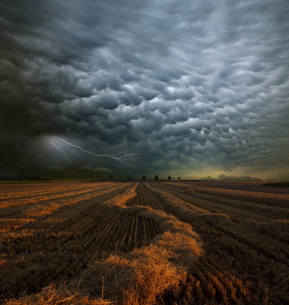 Lightning Strikes Golden Field