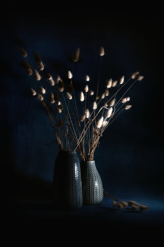 Dried Vases Still Life by Antonio Grambone — canvas wall art