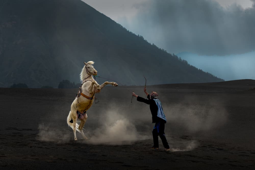 Man and Rearing Horse by Dennis Zhang — canvas wall art