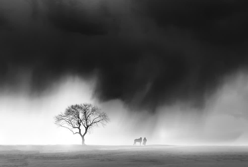 Misty Winter Solitude by Bingo Z — canvas wall art
