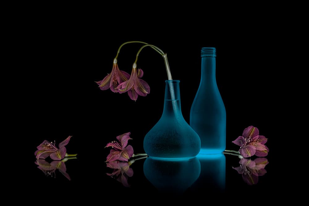 Pink Flowers Blue Glow by Lydia Jacobs — canvas wall art