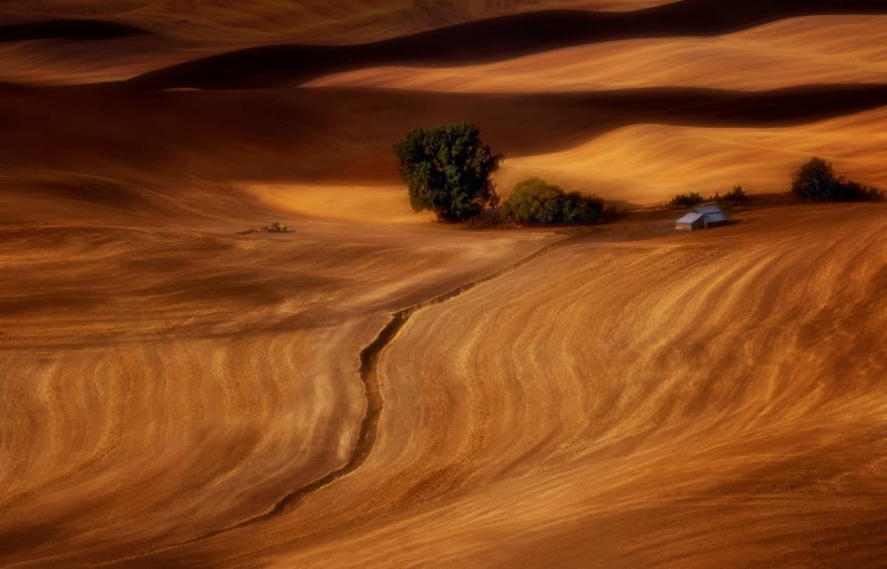 Golden Rolling Farmland by Joanna W — canvas wall art