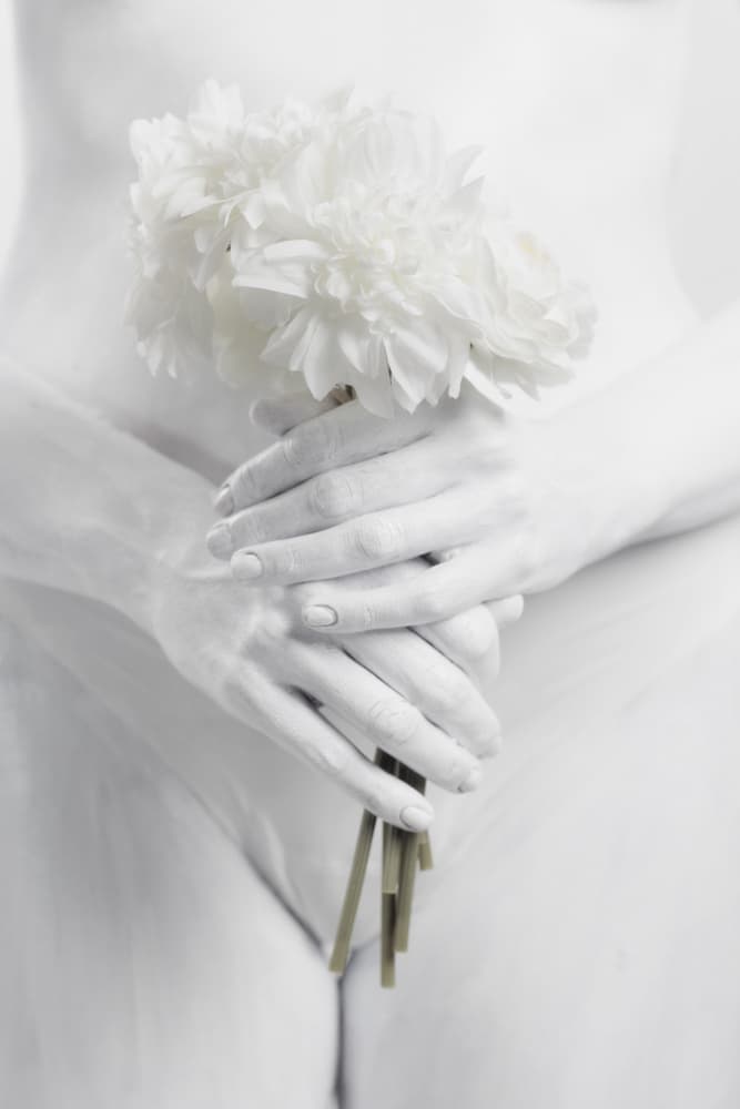 Graceful White Blooms by Claudio Viarengo — canvas wall art