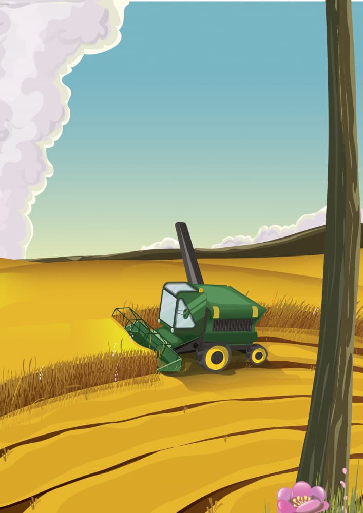 Golden Harvest Field by Nicholas — canvas wall art