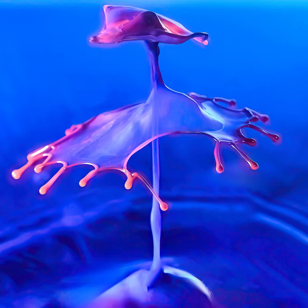 Dynamic Fluid Sculpture by Porter Thomas — canvas wall art