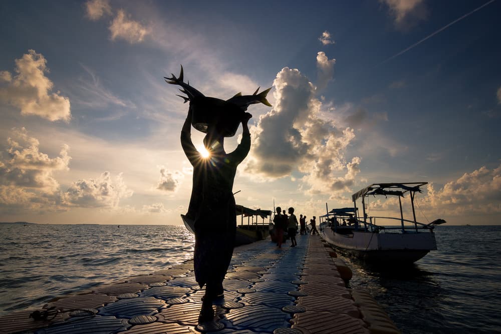 Golden Hour Catch by Prianto Puji Anggriawan — canvas wall art
