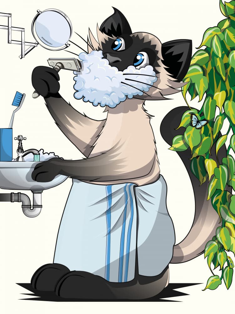 Shaving Siamese Cat by In The Washroom — canvas wall art